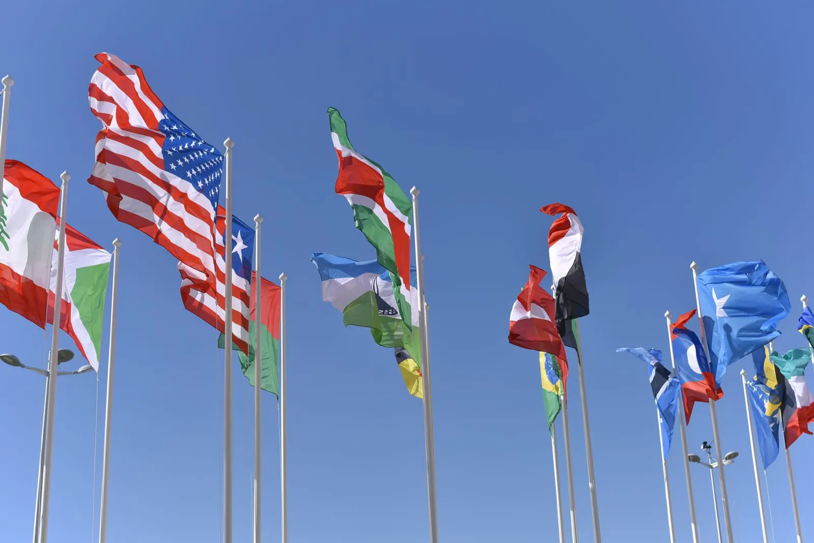international-employees